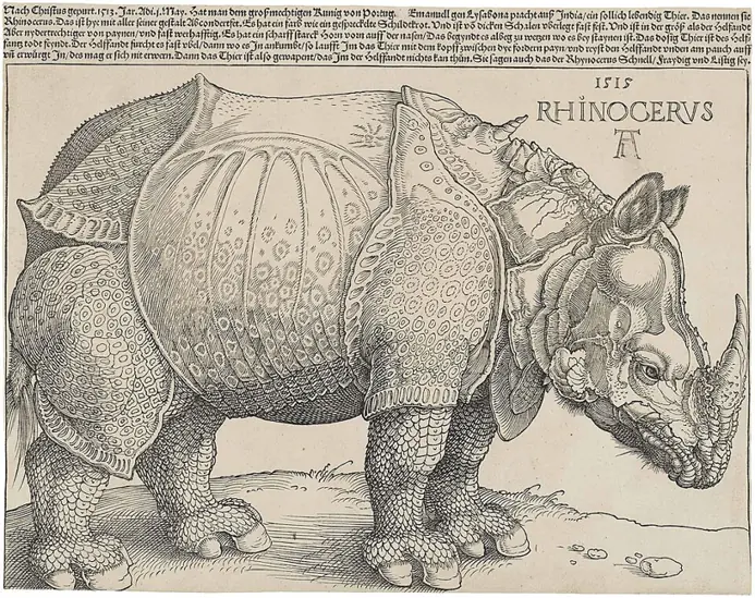 The Rhinoceros, Albrecht Dürer, 1515